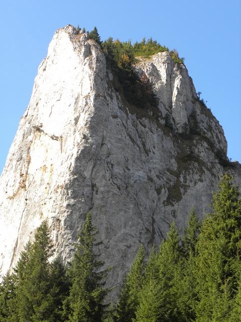 Carpati.org