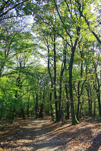 /danielw/img_9291.jpg