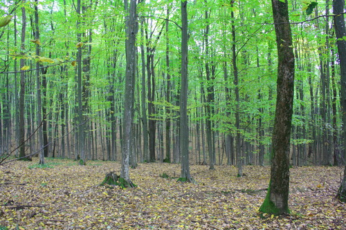 /danielw/img_9386.jpg