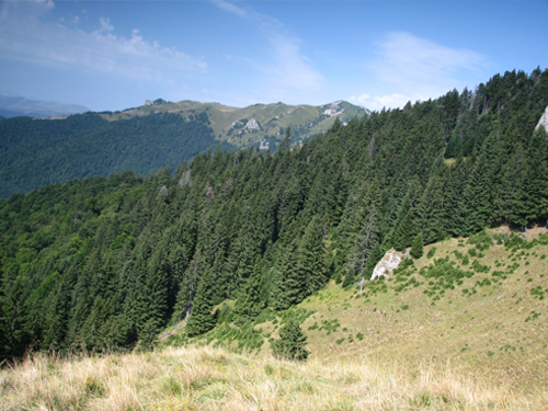 Carpati.org