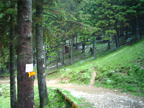 Carpati.org