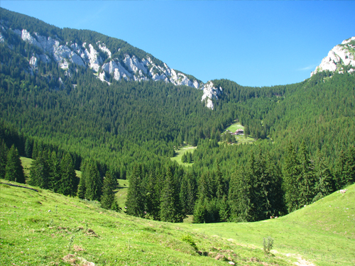 Carpati.org