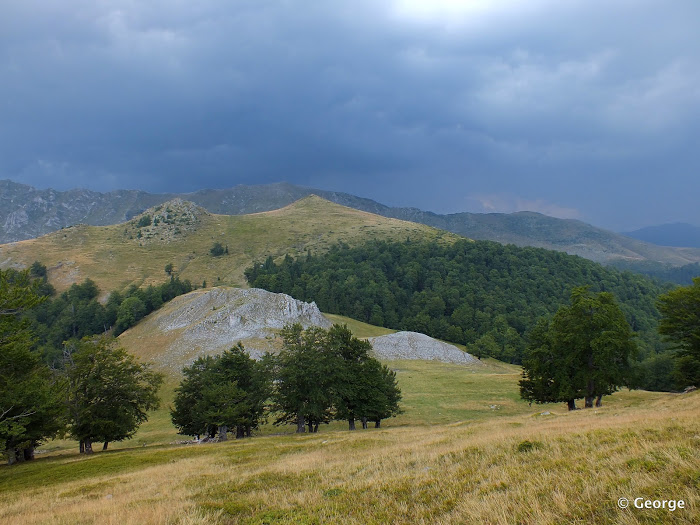 /valcan/dscf4735.jpg