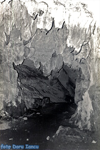 /Aninei/09._p.emil_racovita.jpg
