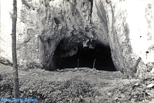 /Aninei/13._intrare_p.emil_racovita.jpg