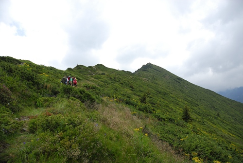 /Fagaras/_adi3216.jpg