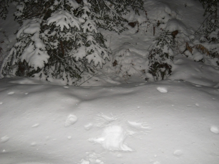 /Fagaras/dscn2470.jpg