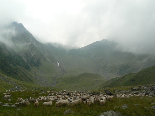 /Fagaras/p1120671.jpg