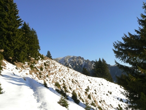 Carpati.org