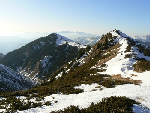 Carpati.org