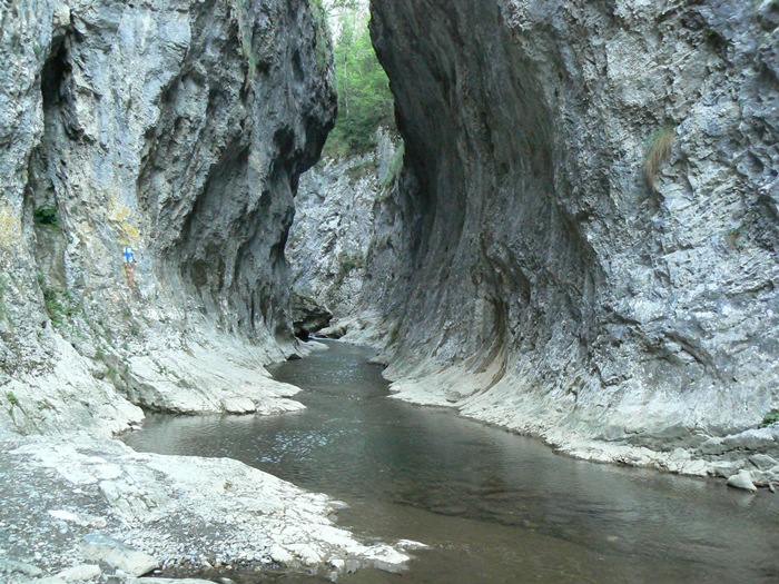 /trascau/p1160209.jpg