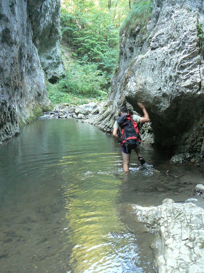 /trascau/p1160219.jpg