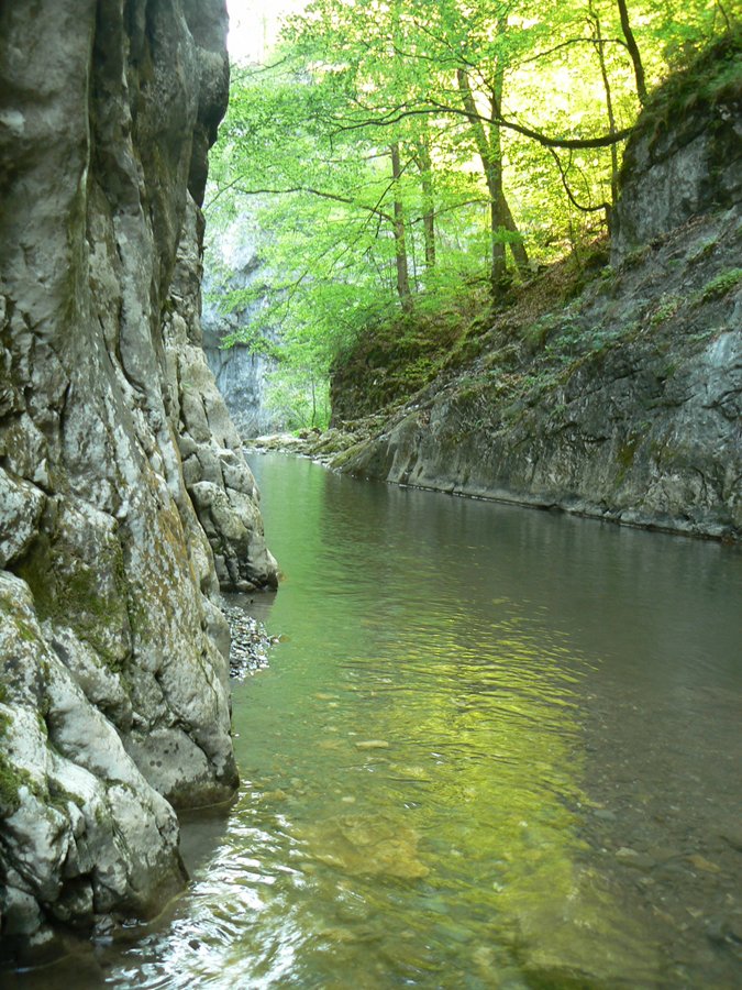 /trascau/p1160223.jpg