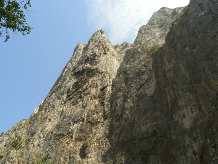 /trascau/p1160303.jpg