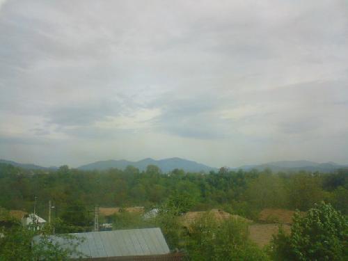 Carpati.org