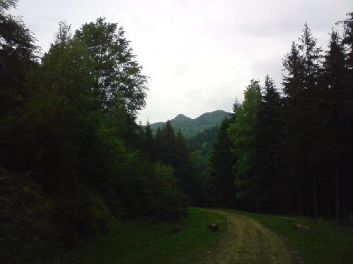 Carpati.org