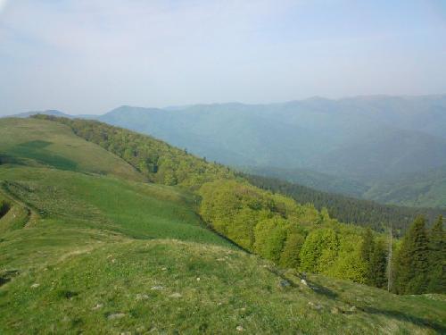 Carpati.org