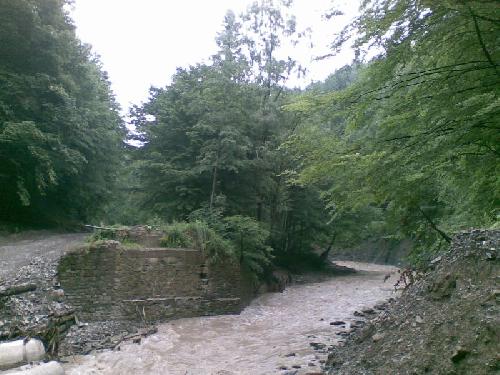 Carpati.org
