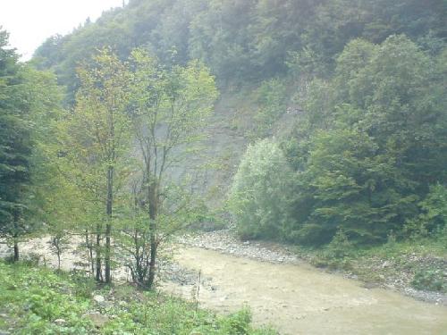 Carpati.org