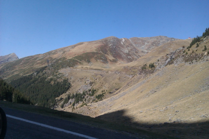 /Vanatoarea/imag0724.jpg