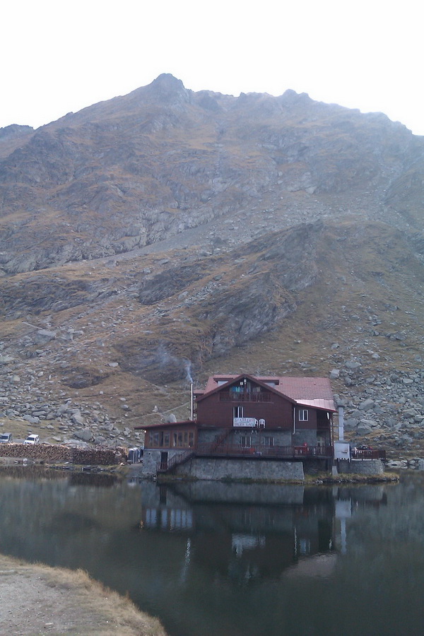 /Vanatoarea/imag0740.jpg