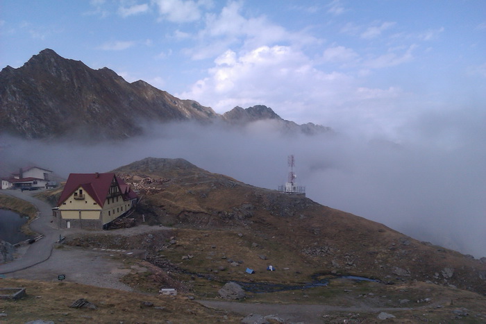 /Vanatoarea/imag0744.jpg