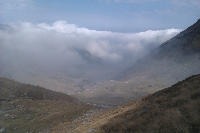/Vanatoarea/imag0749.jpg