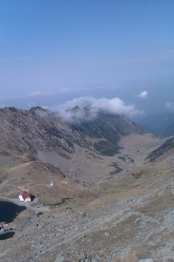 /Vanatoarea/imag0756.jpg