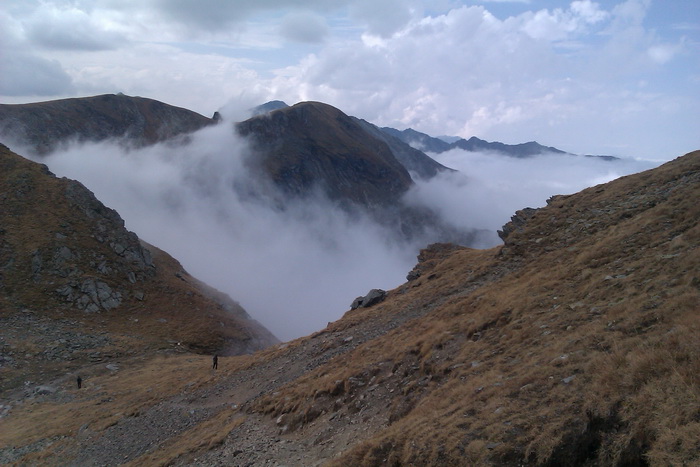 /Vanatoarea/imag0770.jpg
