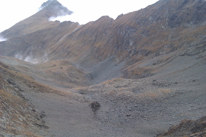 /Vanatoarea/imag0774.jpg