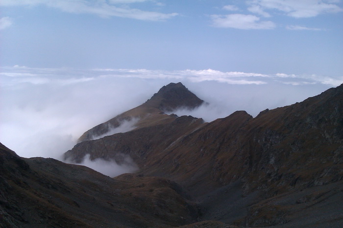/Vanatoarea/imag0775.jpg