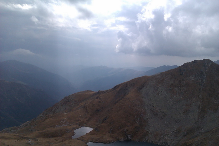 /Vanatoarea/imag0778.jpg