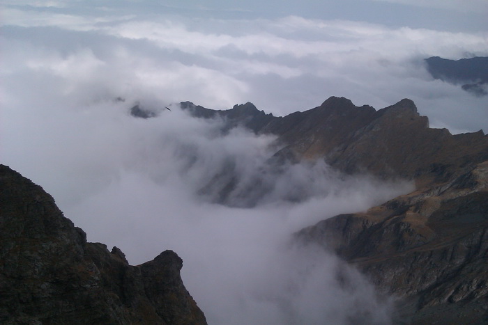 /Vanatoarea/imag0787.jpg