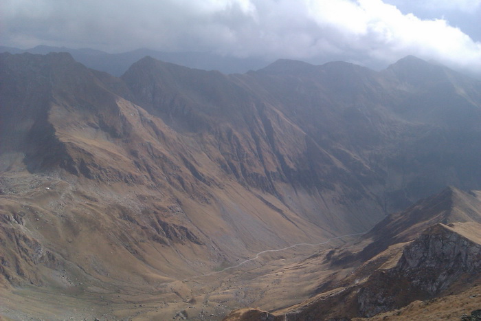 /Vanatoarea/imag0788.jpg