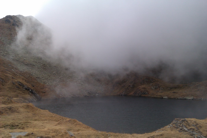/Vanatoarea/imag0806.jpg