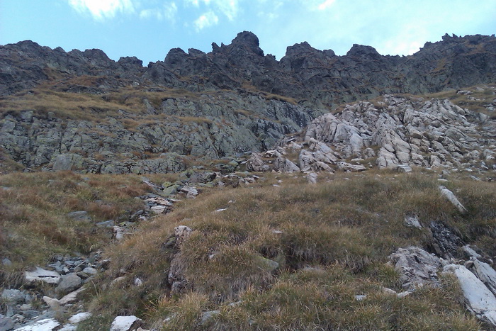 /Vanatoarea/imag0829.jpg
