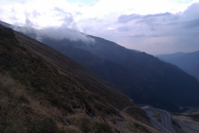 /Vanatoarea/imag0832.jpg
