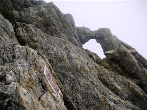 /Creasta/p1160949_.jpg