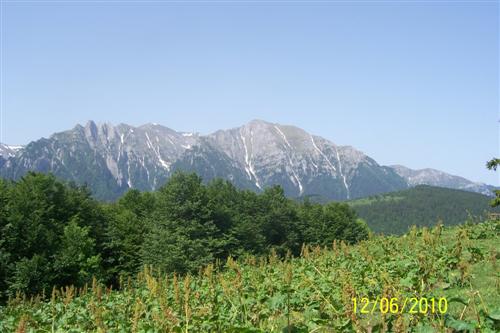 Carpati.org