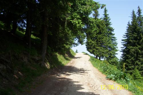 Carpati.org