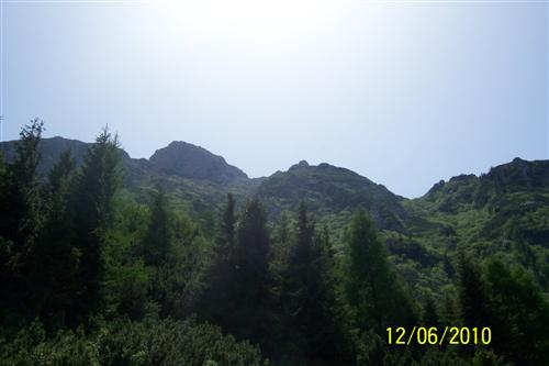 Carpati.org