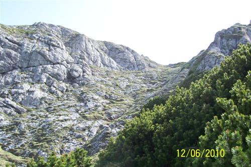Carpati.org