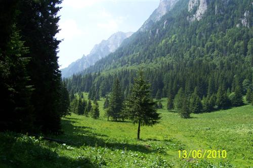 Carpati.org