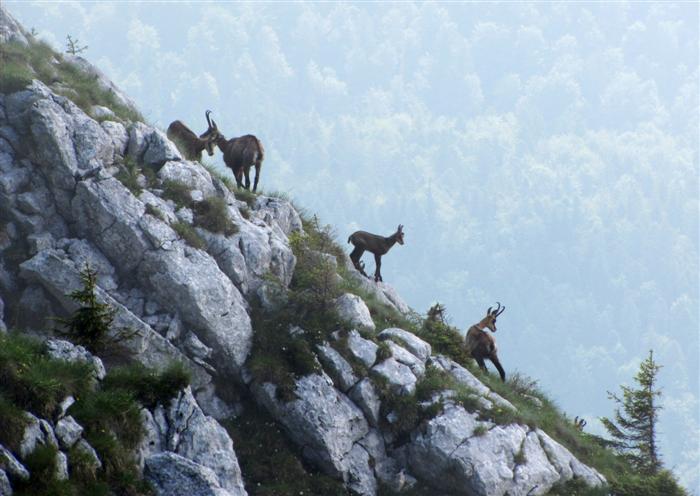 /Piatra/img_0205_r.jpg