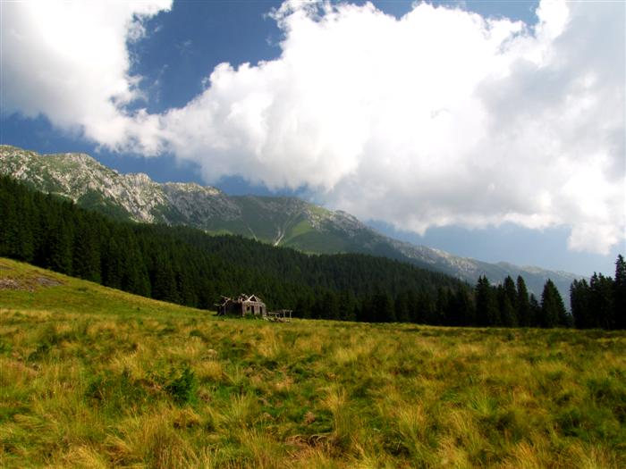 /Piatra/img_0341.jpg