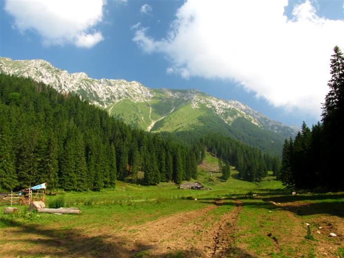 /Piatra/img_0342.jpg