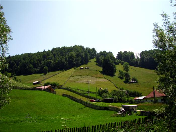 /Piatra/img_0418.jpg