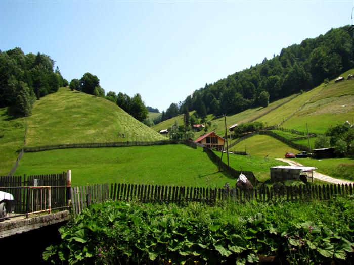 /Piatra/img_0422.jpg