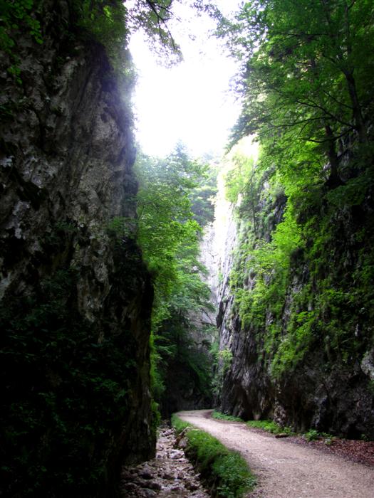 /Piatra/img_9820.jpg