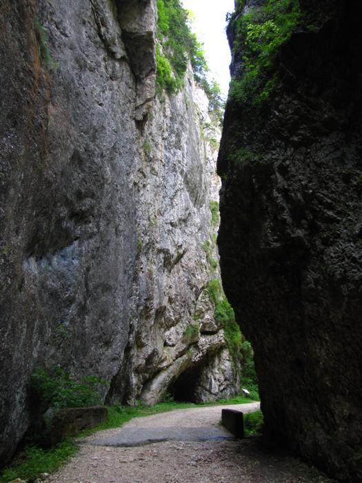 /Piatra/img_9827.jpg